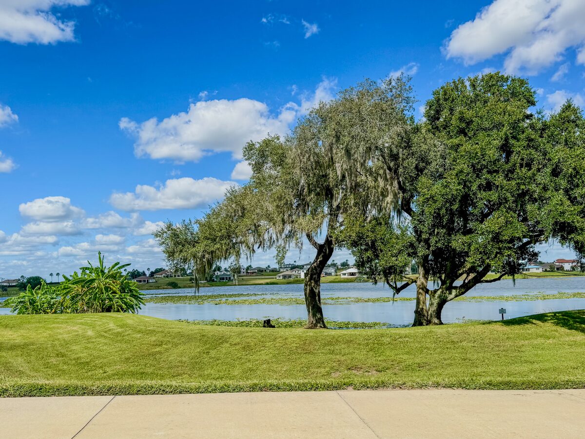 A freshly kept lawn meeting a clean sidewalk edge, with live oaks and a lake beyond under a blue sky
