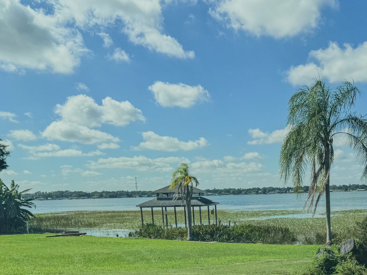 A well-kept lakeside lawn with a palm tree and a gazebo under a bright sky